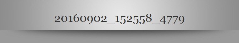 20160902_152558_4779