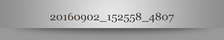 20160902_152558_4807