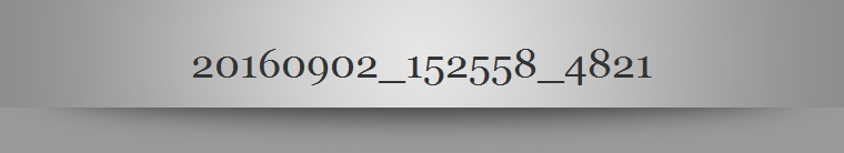 20160902_152558_4821