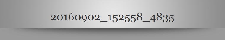 20160902_152558_4835