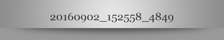 20160902_152558_4849