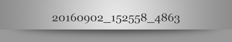 20160902_152558_4863