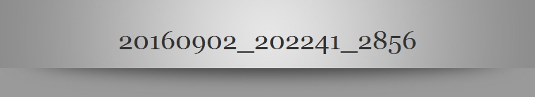 20160902_202241_2856