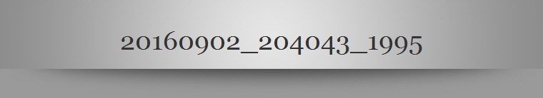 20160902_204043_1995