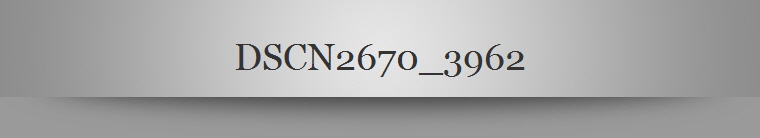 DSCN2670_3962