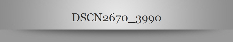 DSCN2670_3990