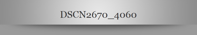 DSCN2670_4060
