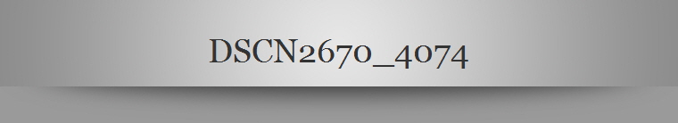 DSCN2670_4074