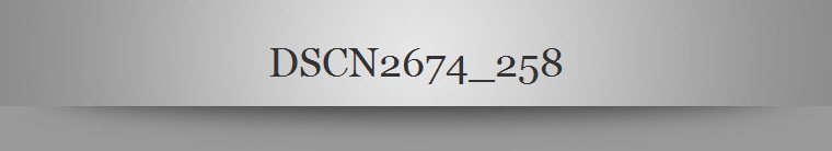DSCN2674_258