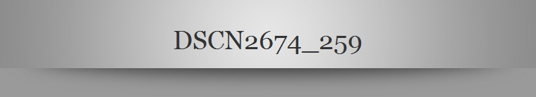DSCN2674_259