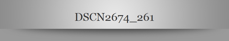 DSCN2674_261