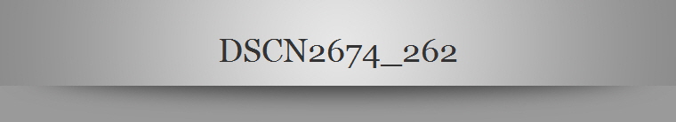 DSCN2674_262