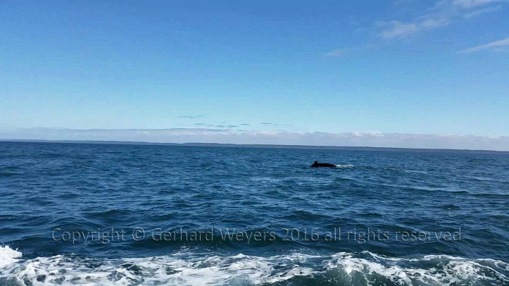 20160902_142110_4314