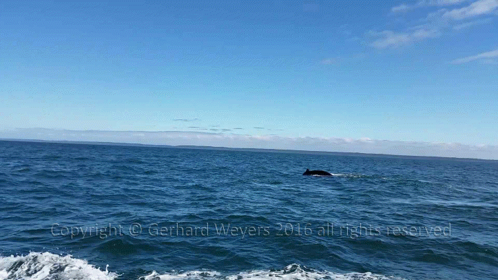 20160902_142110_4328