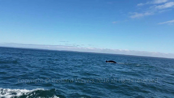 20160902_142110_4342