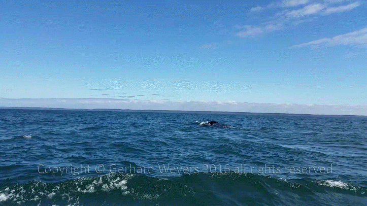 20160902_142110_4370