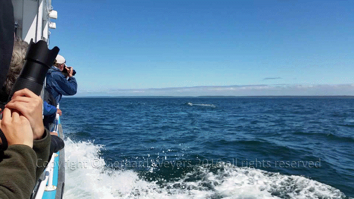 20160902_142732_2131