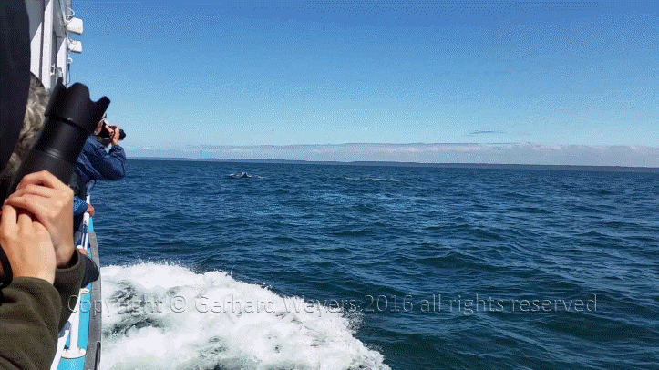 20160902_142732_2159