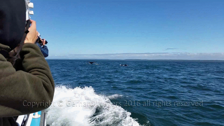 20160902_142732_2201