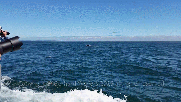 20160902_142732_2324