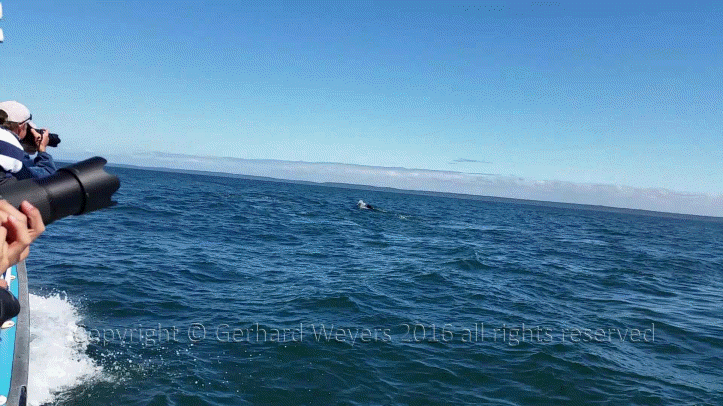 20160902_142732_2352