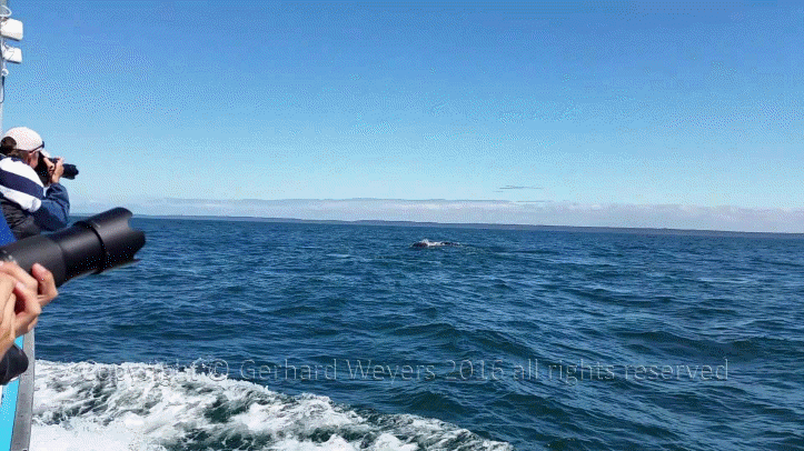 20160902_142732_2394