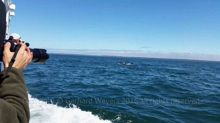 20160902_142732_2422