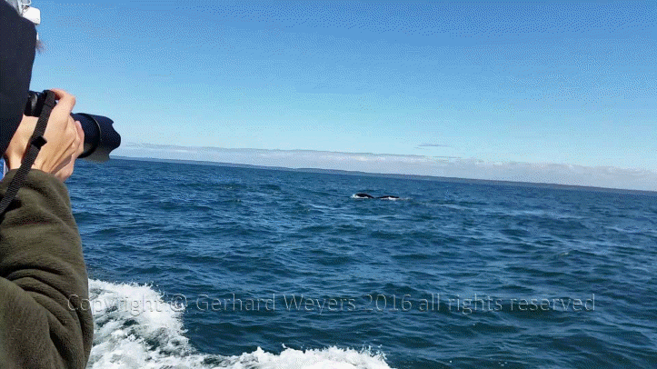 20160902_142732_2436