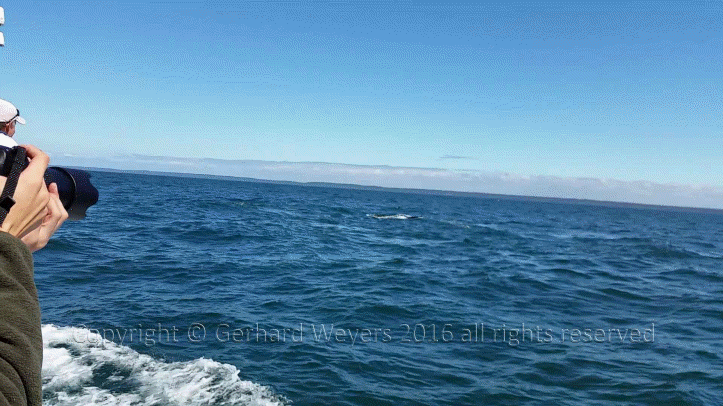 20160902_142732_2450