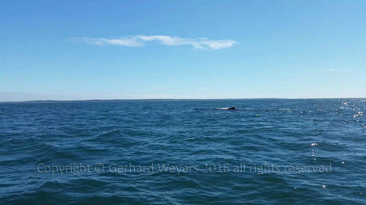 20160902_143221_1589