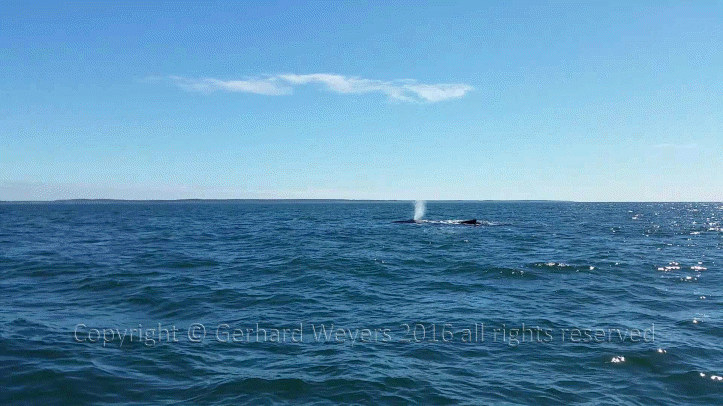 20160902_143221_1605