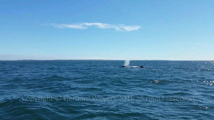 20160902_143221_1613