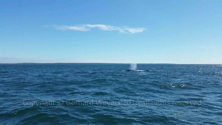 20160902_143221_1621