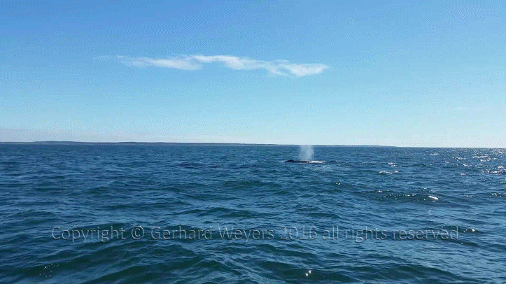 20160902_143221_1629