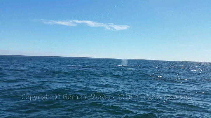 20160902_143221_1645