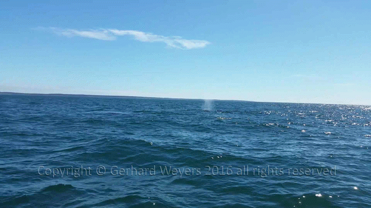 20160902_143221_1661