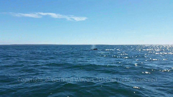 20160902_143221_1691