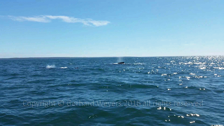 20160902_143221_1699