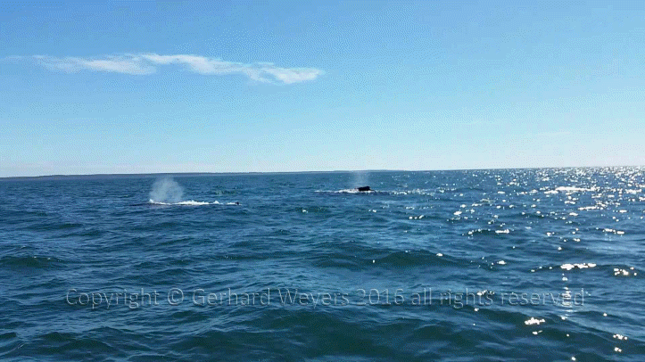 20160902_143221_1707