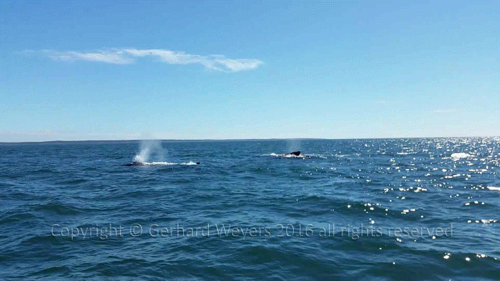 20160902_143221_1715