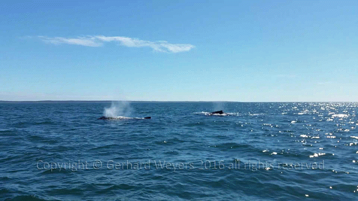 20160902_143221_1723