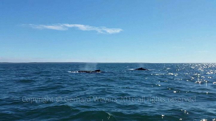 20160902_143221_1747