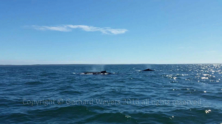 20160902_143221_1753