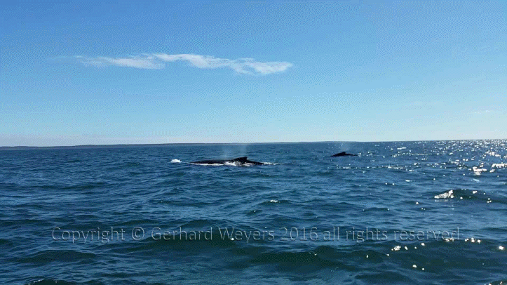 20160902_143221_1761