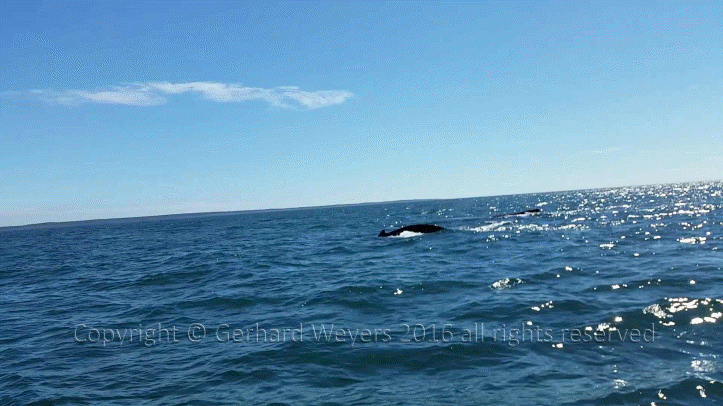 20160902_143221_1979