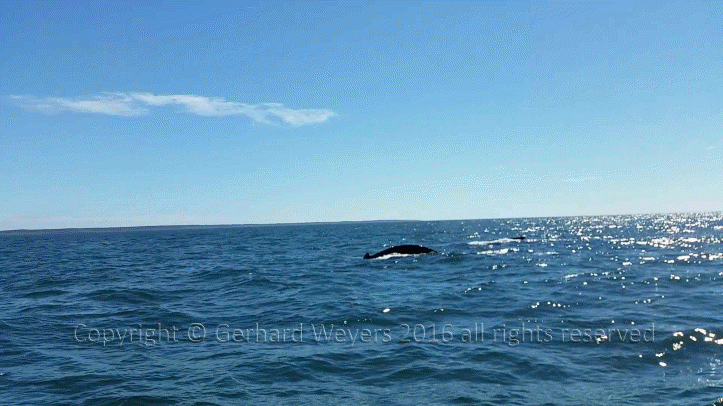 20160902_143221_1995