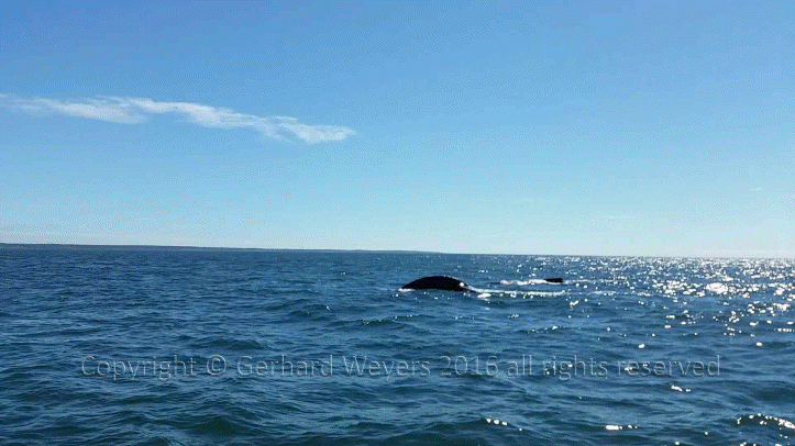 20160902_143221_2011