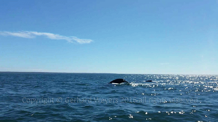 20160902_143221_2027