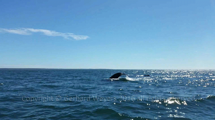 20160902_143221_2043