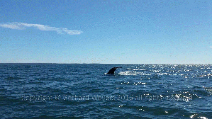 20160902_143221_2059